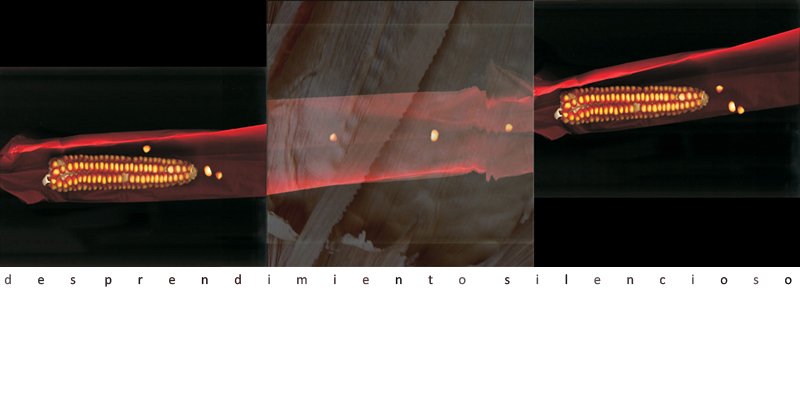 photography copyright begoña muñoz 2011 courtesy from the artist to klauss van damme official website all rights reserved