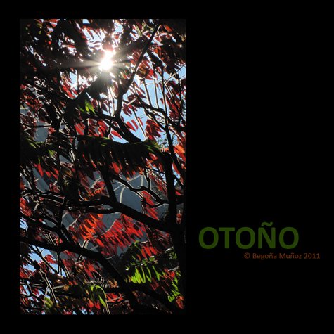  copyright begoña muñoz 2011 all rights reserved vegap