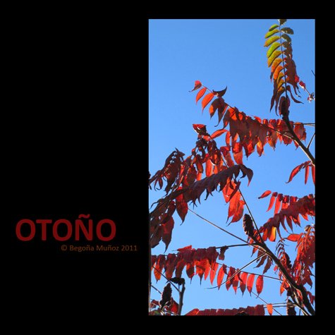 copyright begoña muñoz 2011 all rights reserved vegap