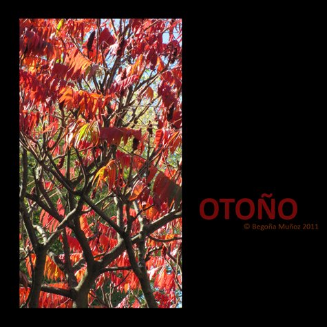 copyright begoña muñoz 2011 all rights reserved vegap