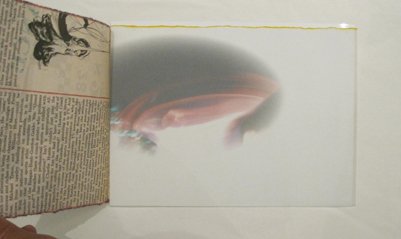 photography copyright begoña muñoz 2010 courtesy from the artis to klauss van damme official website all rights reserved