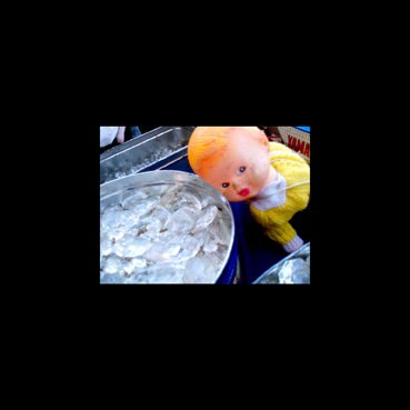 copyright begoña muñoz 2011 courtesy from the artist to klauss van damme official website all rights reserved