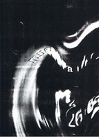 cortesia de nel amaro para klaussvandamme official website reservados todos los derechos all rights reserved vegap