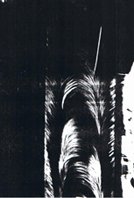 cortesia de nel amaro para klaussvandamme official website reservados todos los derechos all rights reserved vegap