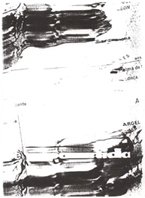 cortesia de nel amaro para klaussvandamme official website reservados todos los derechos all rights reserved vegap