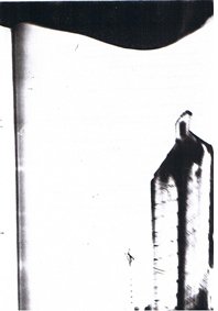 cortesia nel amaro courtesy from the artist to klauss van damme all rights reserved vegap