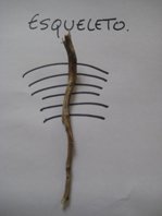 esqueleto cortesia nel amaro courtesy from the artist to klauss van damme alll rights reserved vegap