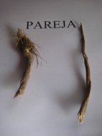 pareja cortesia nel amaro courtesy from the artist to klauss van damme all rights reserved vegap