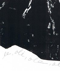 cortesia nel amaro courtesy from the artist to klauss van damme official website all rights reserved vegap