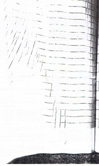 doscientos cortesia nel amaro courtesy from the artist to klauss van damme all rights reserved vegap