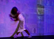 all rights reserved vegap