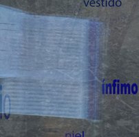 all rights reserved vegap